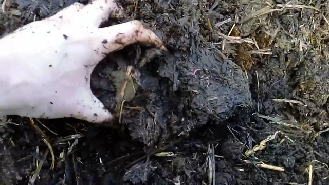 Червь "Старатель". 1000000 "Cтарателей" за зиму в подвале 19 смотреть онлайн