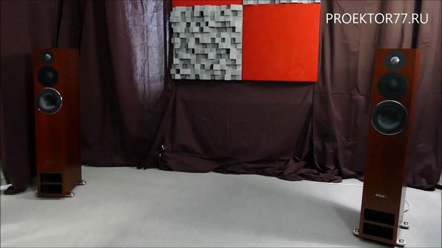Прослушивание акустики PMC Twenty 26 Amarone в рамках выставки Hi-Fi & High End Show 2019 смотреть онлайн