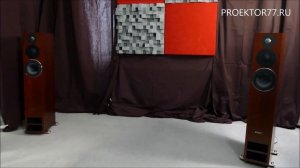 Прослушивание акустики PMC Twenty 26 Amarone в рамках выставки Hi-Fi & High End Show 2019