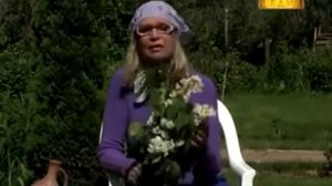 Садоводство Выращивание огурцов Что любят огурцы