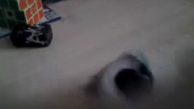 Робот танцует под полёт шмеля ! смотреть онлайн