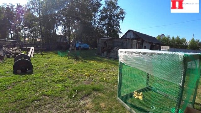 Влог :Будни в селе/Утята разбудили рано/убежали утята/работа в огороде смотреть онлайн