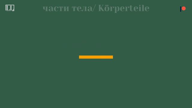 СЛОВАРНЫЙ ЗАПАС, ЧАСТИ ТЕЛА, 90 ПОЛЕЗНЫХ НЕМЕЦКИХ СЛОВ смотреть онлайн