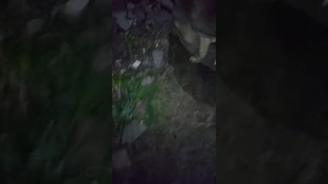 Отвязные танцы. Блиставица. смотреть онлайн