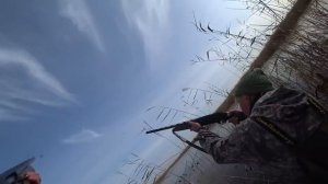 Охота на утку с чучелами в октябре после мороза .  Duck hunting