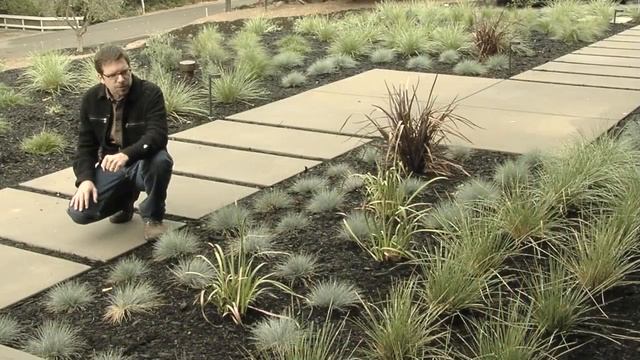 Modern Plants for Landscaping смотреть онлайн