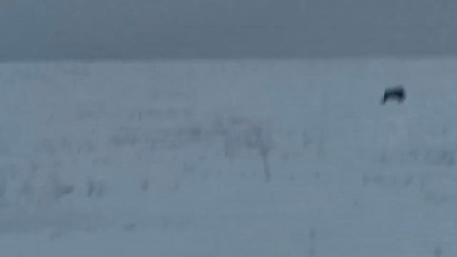 Такое не всегда встречается. смотреть онлайн