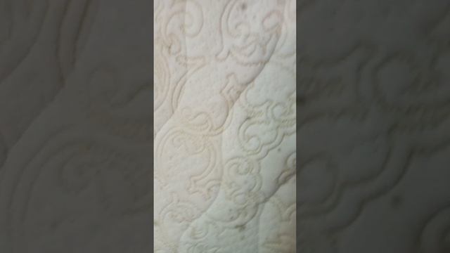 #ersag Как убрать плесень ? часть 1 смотреть онлайн