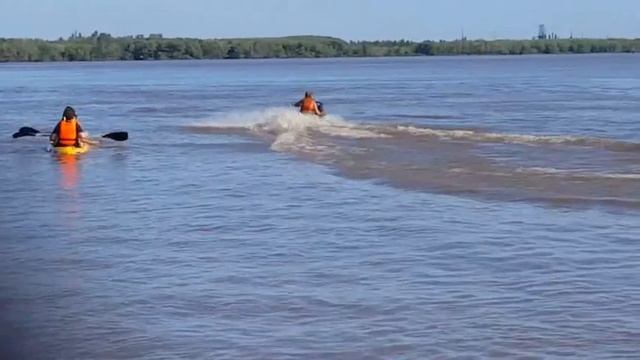 El chonle marcha atras смотреть онлайн