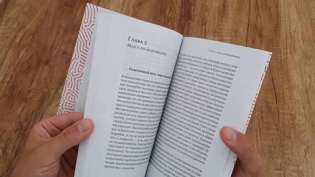 О чем он вообще думает? Подростковый мозг в период взросления