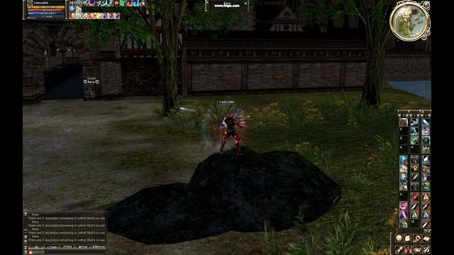 Town of Giran Guards vs. Human archer S-grade - Lineage 2 смотреть онлайн