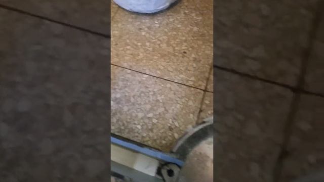 Подобные гантелям Инча гантели с дополнительными утолщёнными рукоятками быстроразборные смотреть онлайн