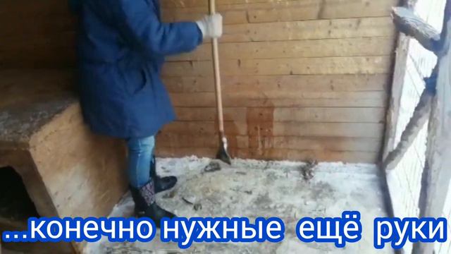 74 вольера. И это только уличные вольеры, не считая всего остального. смотреть онлайн