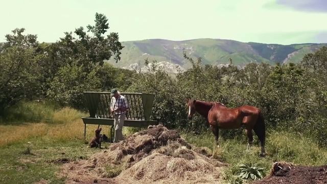 “Ford Ranch” by Albert Moya смотреть онлайн