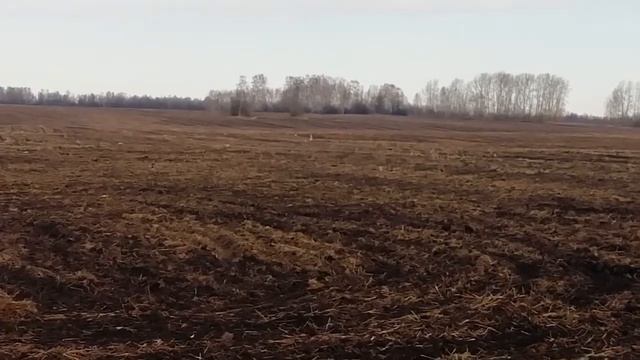Сибирь, 1ое Мая - с праздником, попробуй - догонит ? смотреть онлайн