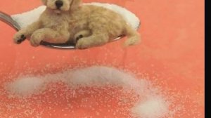 Автор ролика Виталий Тищенко (Ростов-н/Д). Невероятные миниатюрные скульптуры Керри Паюти