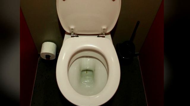 SCP-0002-J Toilet Humor | Joke SCP смотреть онлайн