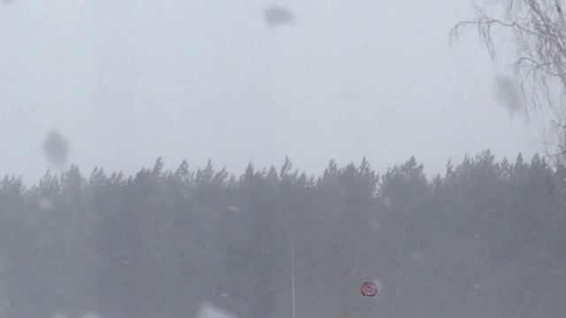 Дуют ветры в феврале... смотреть онлайн