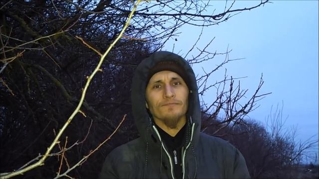 Как выбрать кур несушек и узнать возраст курицы. смотреть онлайн