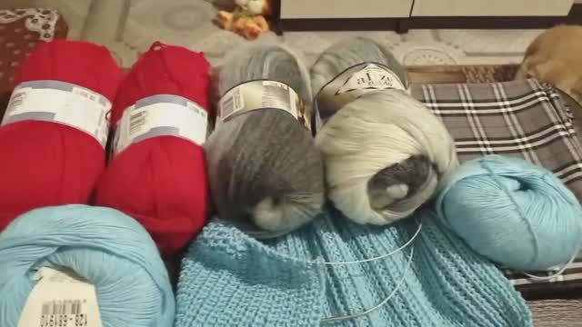 Прогулялись, скупились.... и немного красоты))) Архив от 12.12.2021г. смотреть онлайн