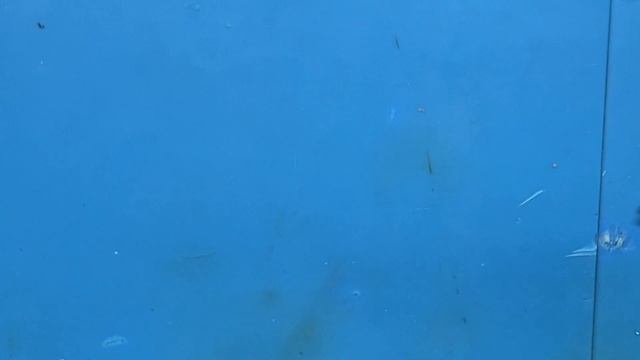 Обучающее видео пайке разъема type-c. Как паять правильно! смотреть онлайн