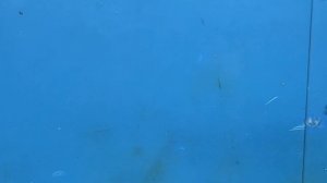 Обучающее видео пайке разъема type-c. Как паять правильно!