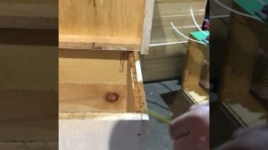 Обзор моего промышленного улья