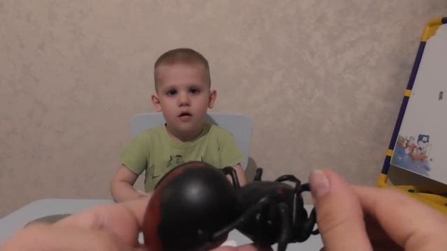 Мультик про паука. Большой страшный паук на солёной воде. смотреть онлайн