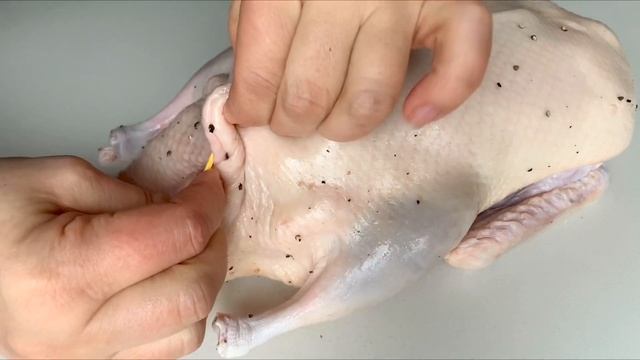 Дизайн Интерьера