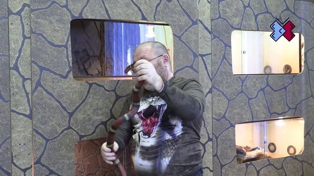ЭКСКУРСИЯ В ЭКЗОТАРИУИМ ГБОУДО им. А.В. Косарева смотреть онлайн