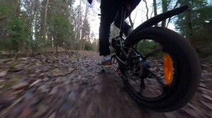 Regular ADO A20 Plus VS. ADO A20F Fat Tire eBike