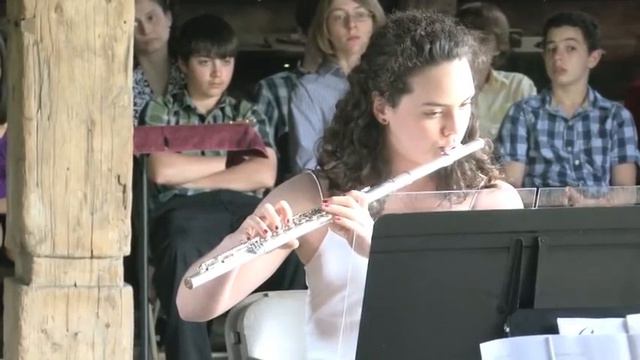 Quartet for Flute in D major, K. 285 I. Allegro Mozart смотреть онлайн