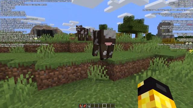 Minecraft 1.16.3 | Sodium Mod & OBS Test Recording смотреть онлайн