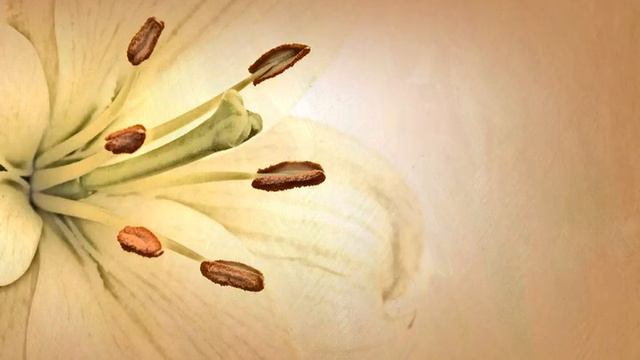 Ибо Младенец родился нам смотреть онлайн