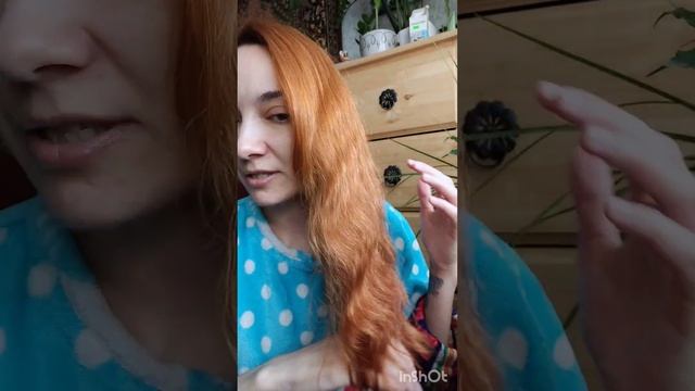 Мои любимки/фавориты смотреть онлайн