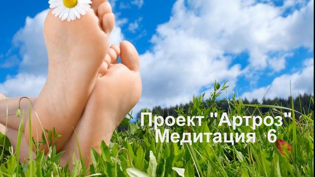 6 Проект _Артроз_ 6