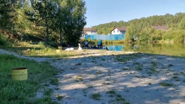 Рыбалка на базе отдыха ПАМПАСЫ |Обзор базы отдыха ПАМПАСЫ | ВЛОГ путешествие #3 смотреть онлайн