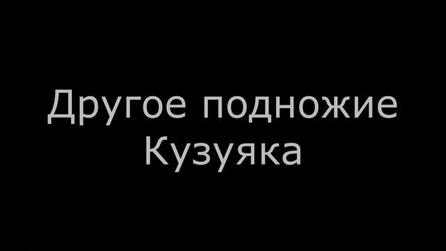 Алтай 2019. Часть 8. Дождливая дорога домой. смотреть онлайн