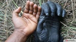 01. Человек - существо биосоциальное