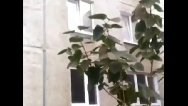 Оставила варенье на плите. Челябинка едва не спалила квартиру ВИДЕО смотреть онлайн