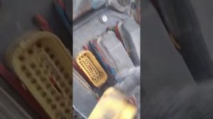 ивеко стралис 2004 г. удалил ошибку EDC.