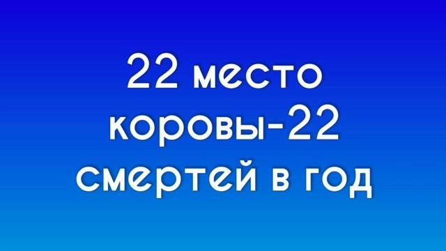 Самые Опасные животные для человека Топ 25 (1 часть) смотреть онлайн