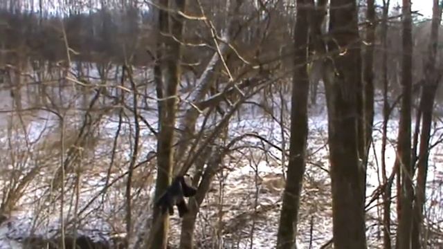Реальные будни зимнего копа. Монеты (18.01.2018) смотреть онлайн