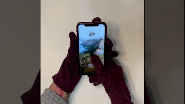 JMF10-8 FABRETTI Перчатки жен. 90% полиэстер/10% эластан 