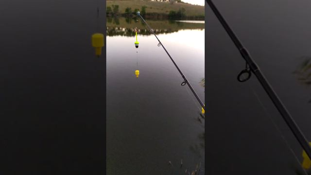 Снасть на толстолоба смотреть онлайн