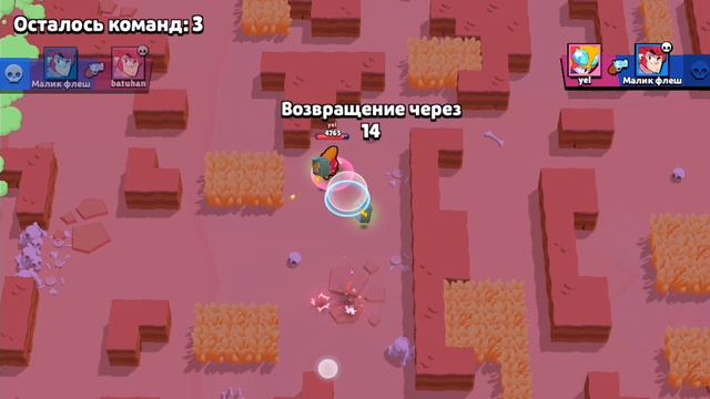 SVID_20240815_143859_1.mp4