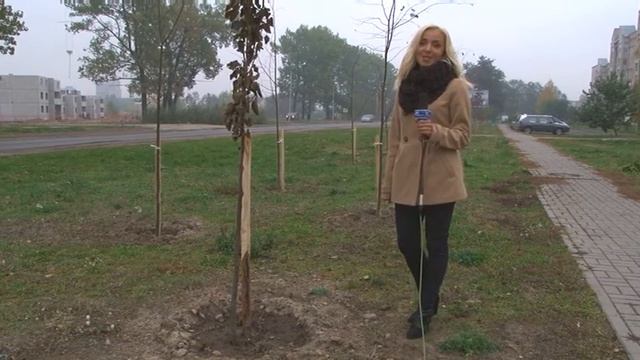 Стартовал месячник по благоустройству, озеленению и наведению порядка на территории города смотреть онлайн