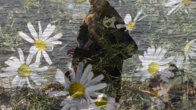 Ромашки октябрь 2015 смотреть онлайн