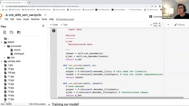 Building your first Variational Autoencoder with PyTorch смотреть онлайн