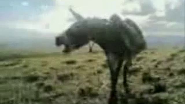 азербайджанский мугам